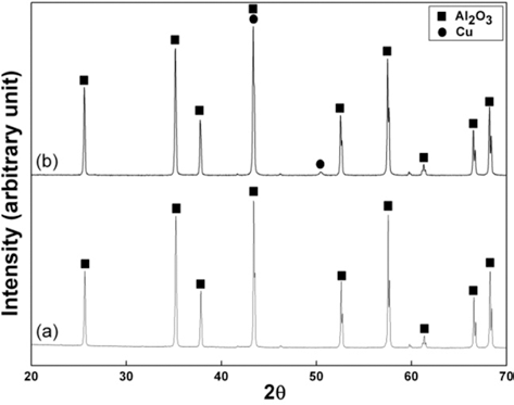 KPMI-21-16_F3.gif