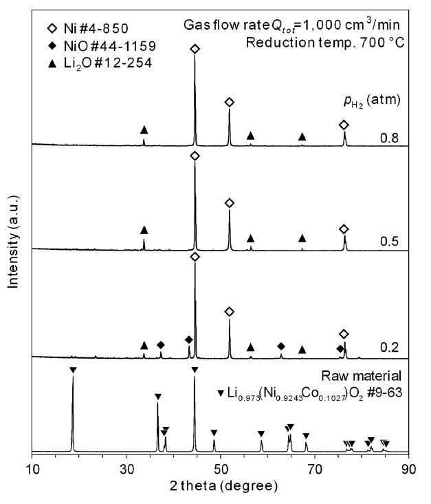 jpm-2024-00017f7.jpg