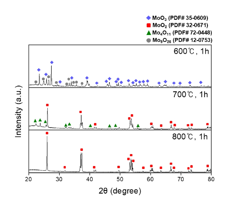 jpm-2024-00241f2.jpg