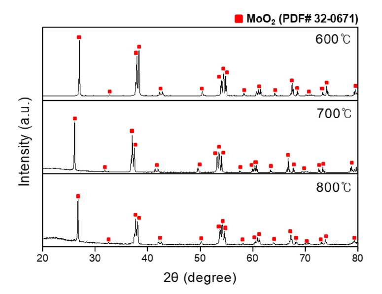 jpm-2024-00241f4.jpg