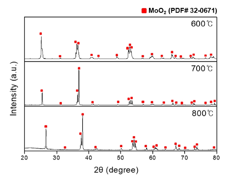 jpm-2024-00241f6.jpg